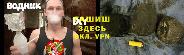 PSILOCYBIN Михайлов