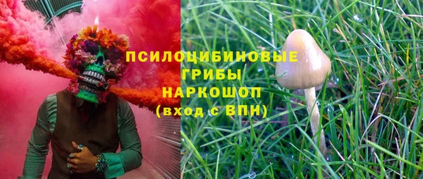 PSILOCYBIN Михайлов