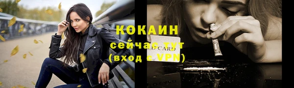 PSILOCYBIN Михайлов