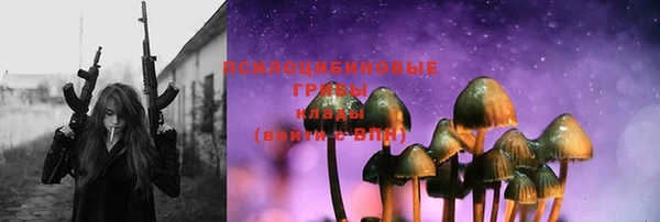 PSILOCYBIN Михайлов