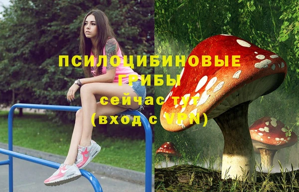 PSILOCYBIN Михайлов