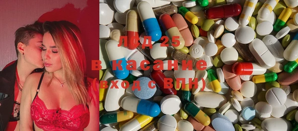 PSILOCYBIN Михайлов