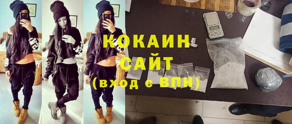PSILOCYBIN Михайлов