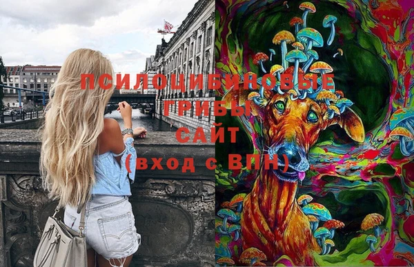 PSILOCYBIN Михайлов