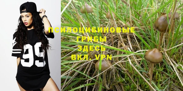 PSILOCYBIN Михайлов